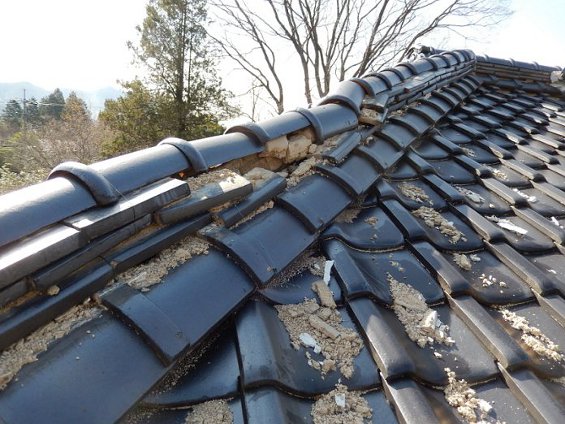 被害状況隅棟１