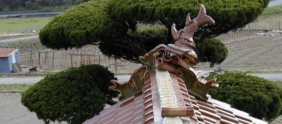 被害状況輪違い２